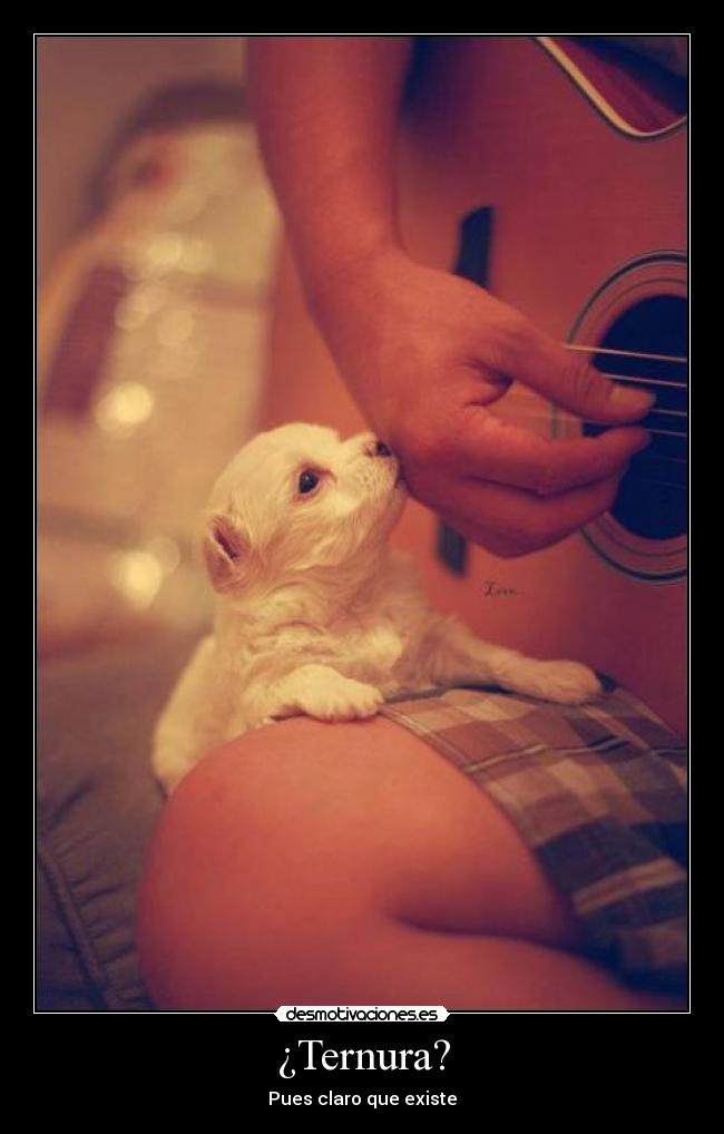 ¿Ternura? -