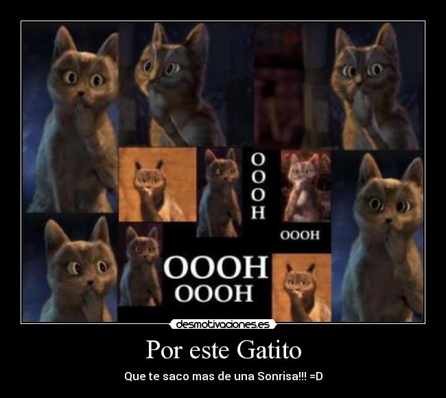 Por este Gatito - 