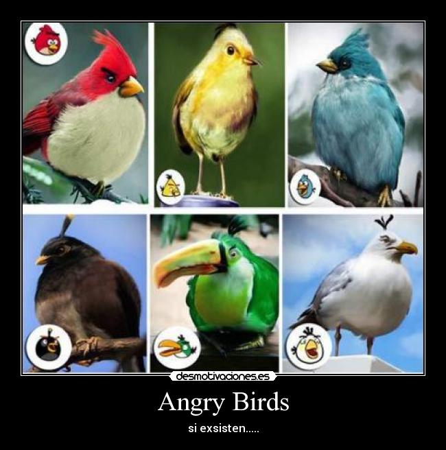 Angry Birds -