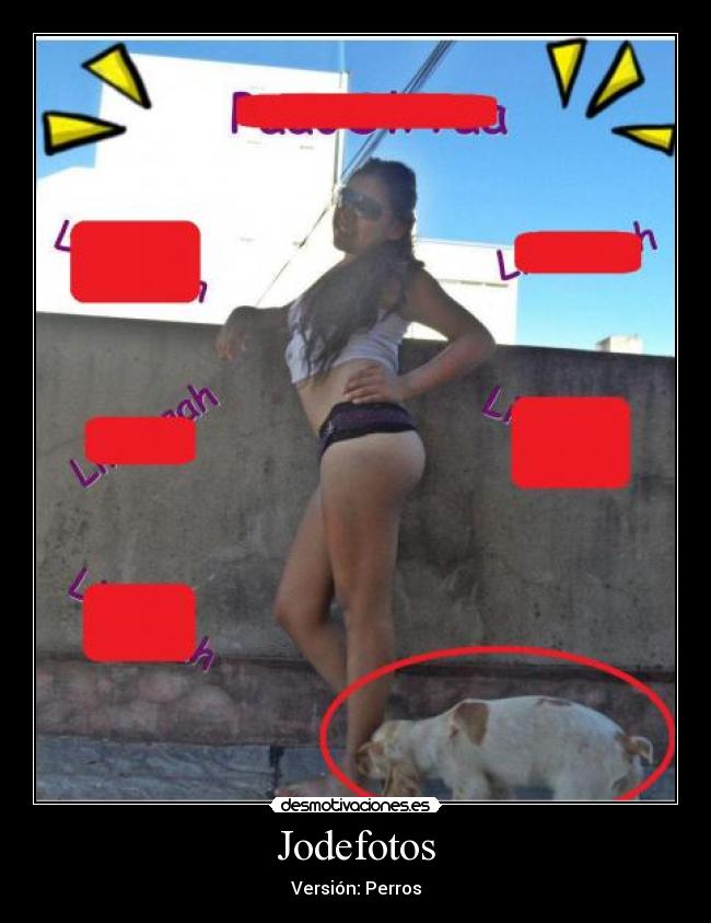 Jodefotos - Versión: Perros