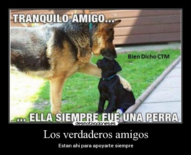 Los verdaderos amigos -