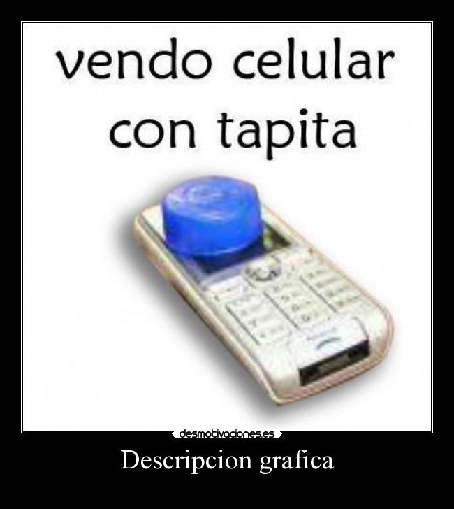 Descripcion grafica -
