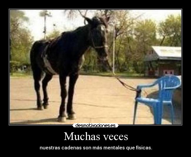 Muchas veces -