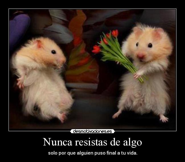 Nunca resistas de algo - solo por que alguien puso final a tu vida.