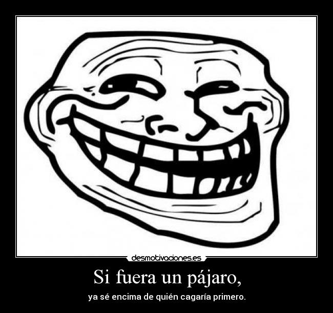 Si fuera un pájaro, -