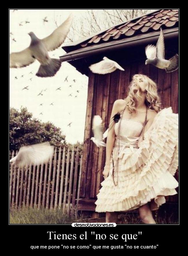 carteles tienes que desmotivaciones