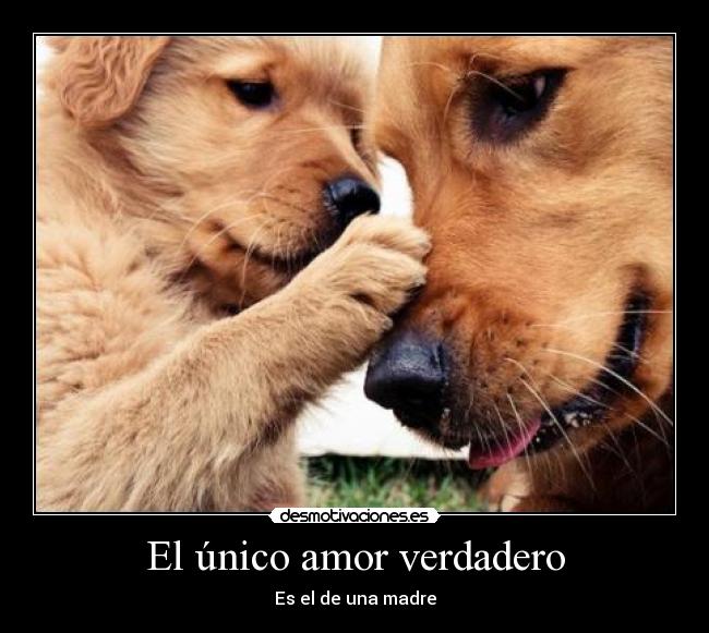 El único amor verdadero - Es el de una madre