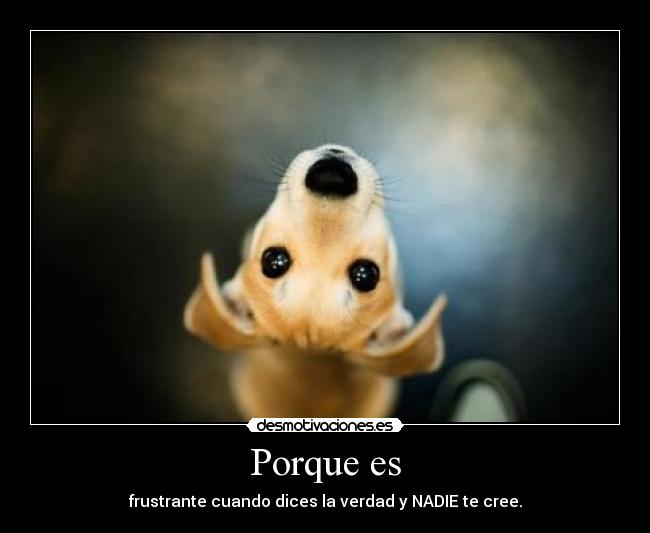 Porque es - frustrante cuando dices la verdad y NADIE te cree.