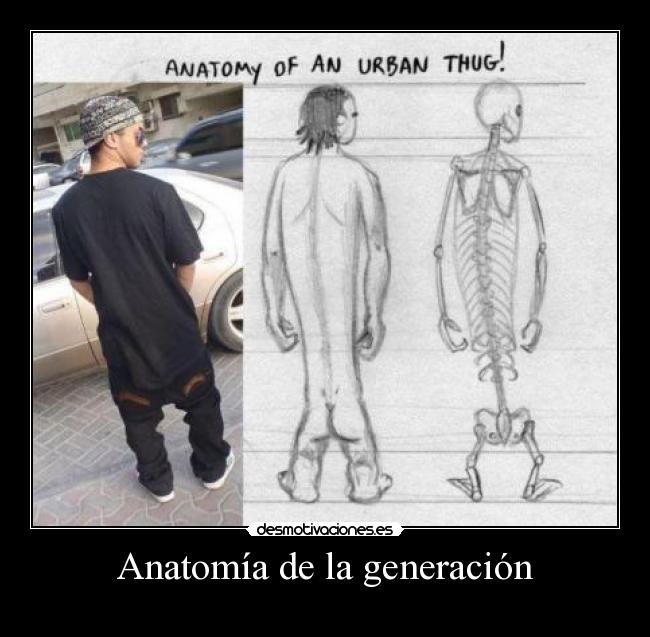 Anatomía de la generación - 