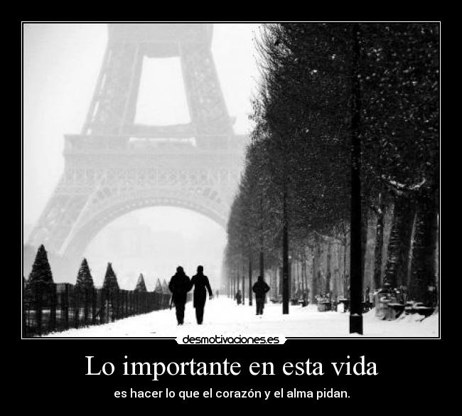 Lo importante en esta vida -