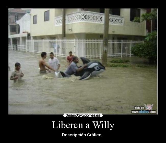 Liberen a Willy -
