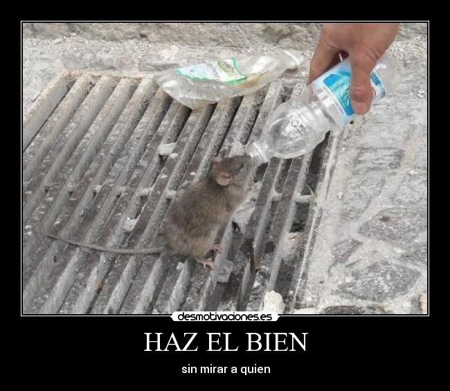 HAZ EL BIEN -
