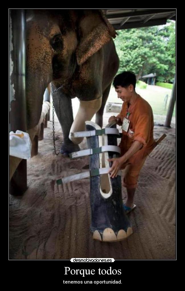 Porque todos - 