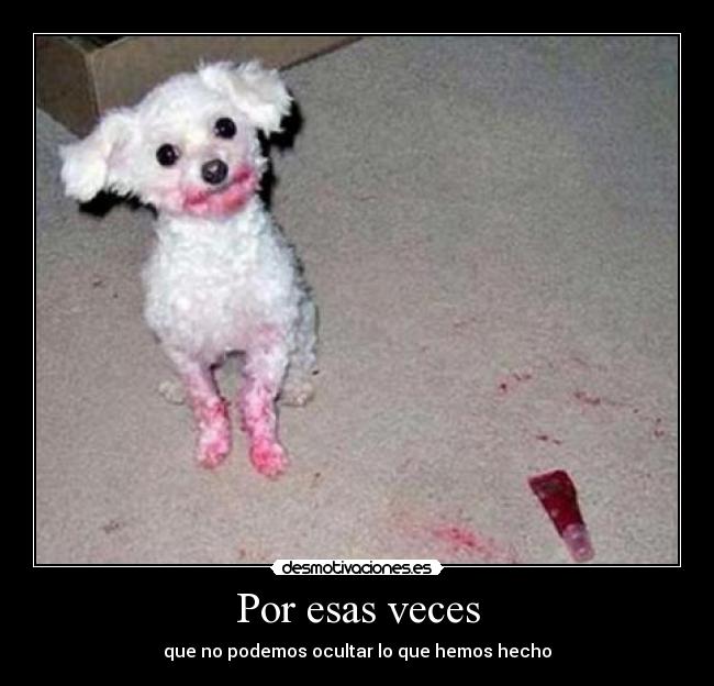 Por esas veces - que no podemos ocultar lo que hemos hecho