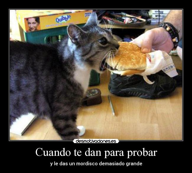 Cuando te dan para probar - y le das un mordisco demasiado grande