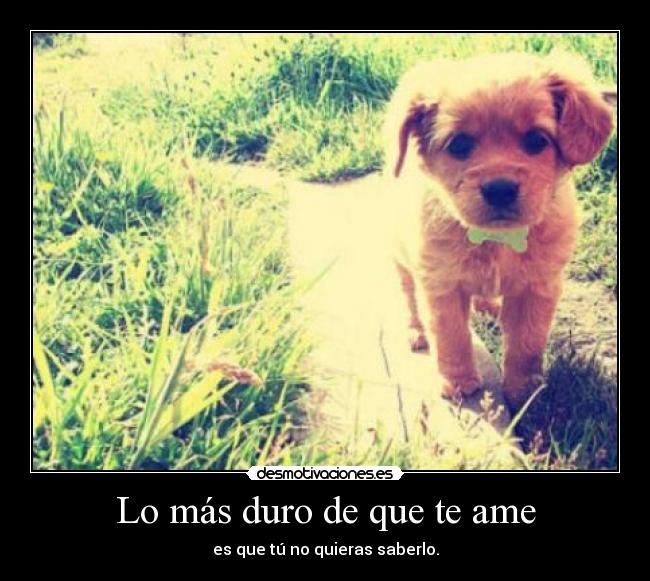 Lo más duro de que te ame - es que tú no quieras saberlo.