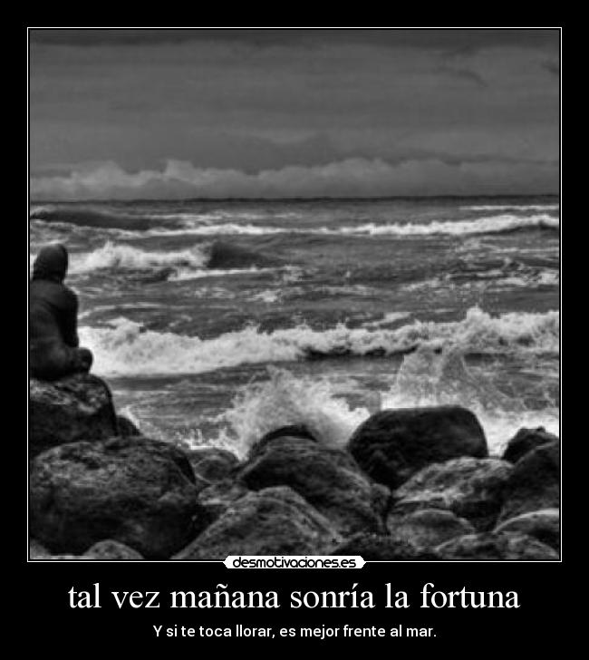 carteles frente mar desmotivaciones