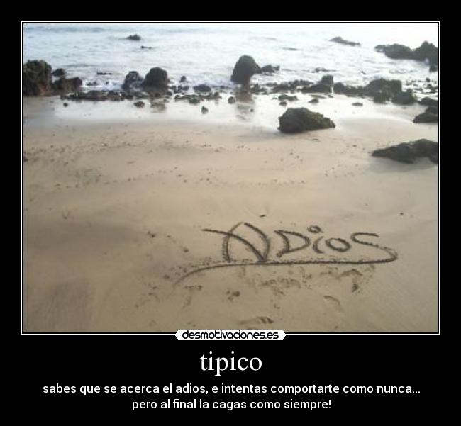tipico -