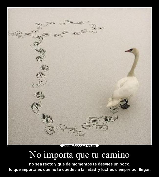 No importa que tu camino -