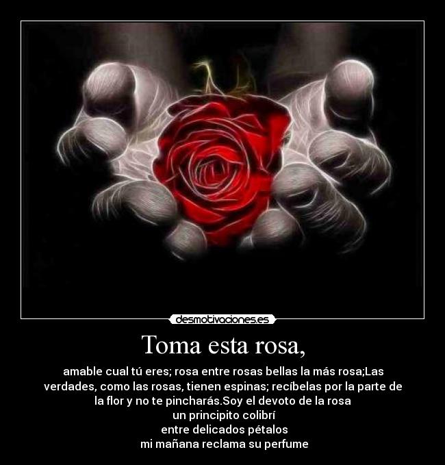 Toma esta rosa, - amable cual tú eres; rosa entre rosas bellas la más rosa;Las
verdades, como las rosas, tienen espinas; recíbelas por la parte de
la flor y no te pincharás.Soy el devoto de la rosa
un principito colibrí
entre delicados pétalos
mi mañana reclama su perfume