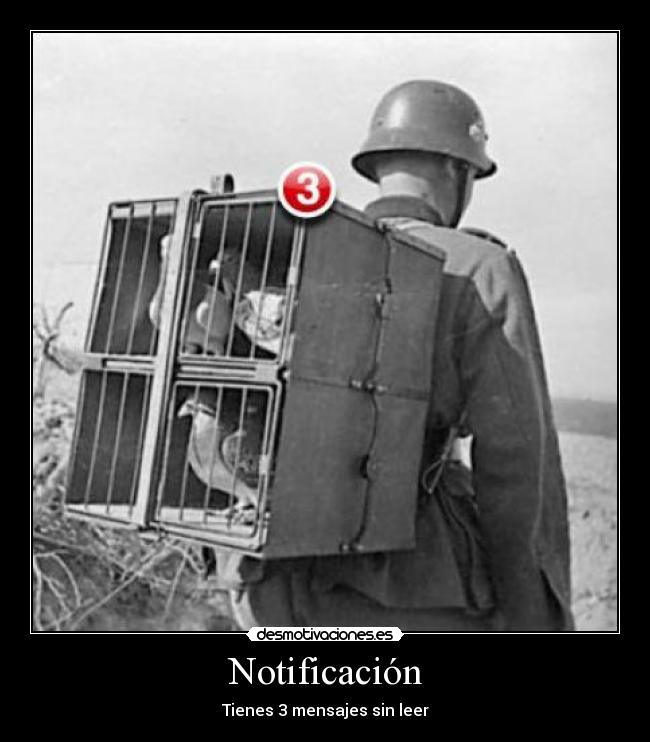 Notificación -