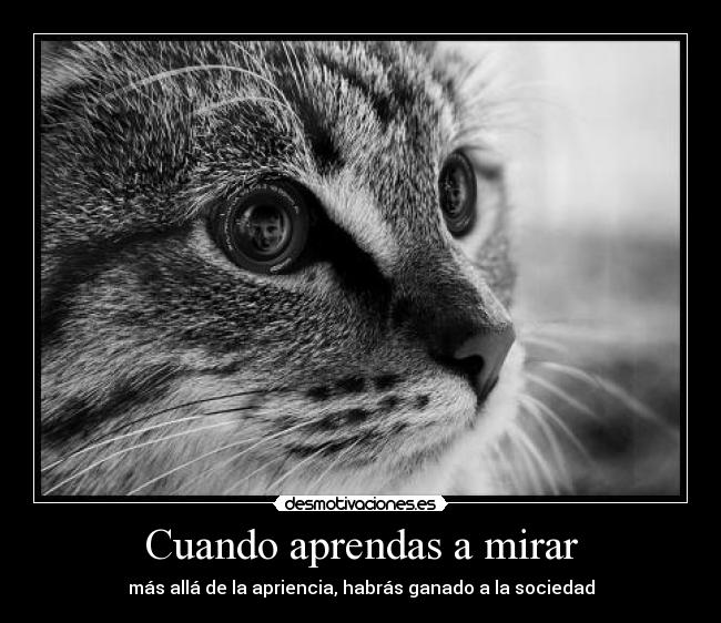 Cuando aprendas a mirar -
