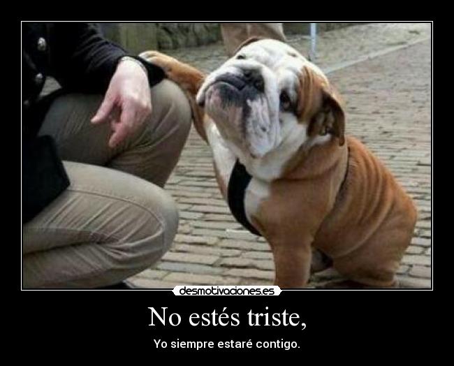 No estés triste, - 