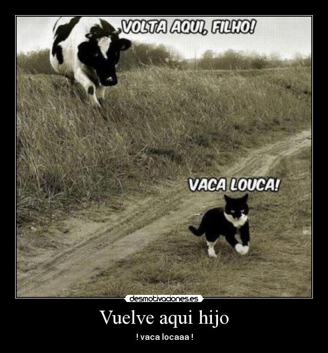 Vuelve aqui hijo - 