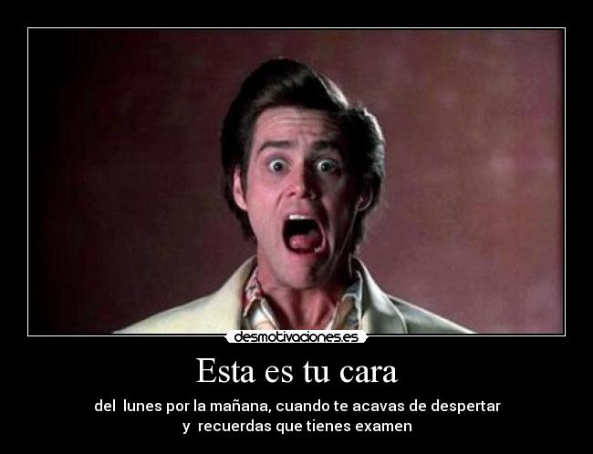 Esta es tu cara - del lunes por la mañana, cuando te acavas de despertar
y recuerdas que tienes examen