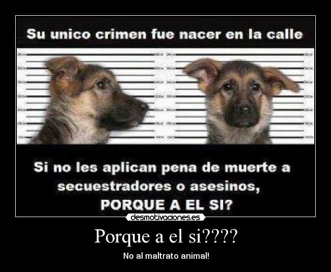 Porque a el si???? - No al maltrato animal!