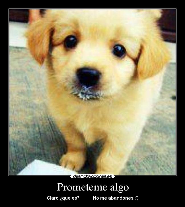 Prometeme algo -