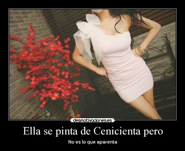 carteles cenicienta falsa desmotivaciones