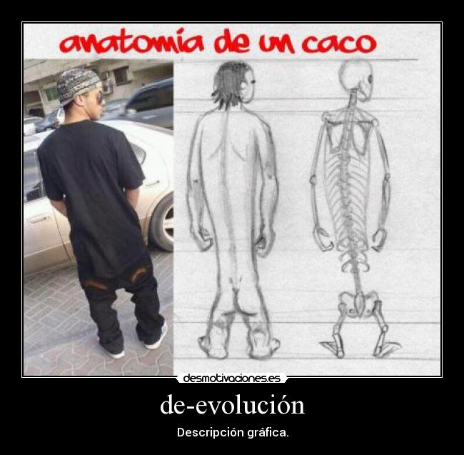 de-evolución - Descripción gráfica.