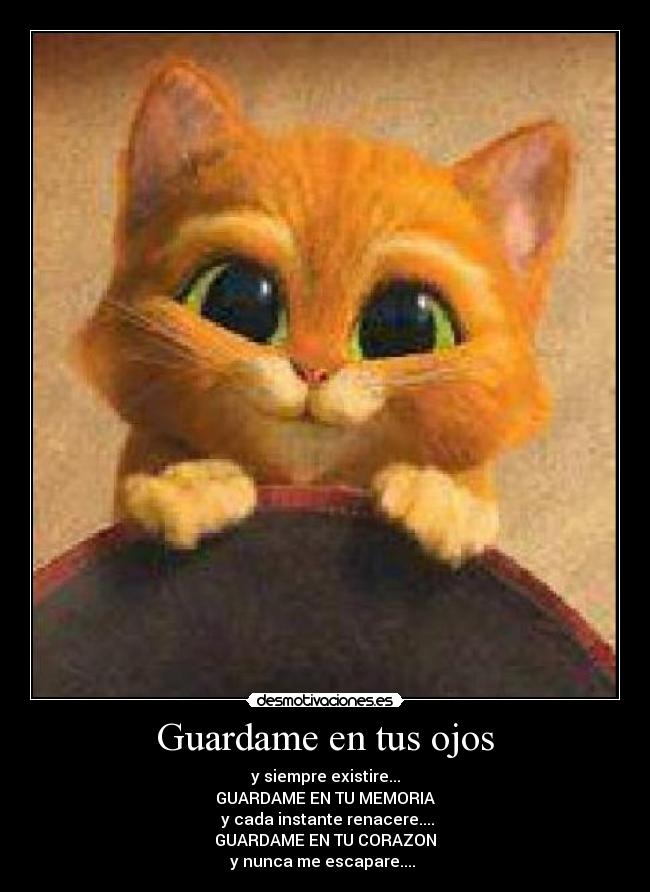 carteles chikitop desmotivaciones