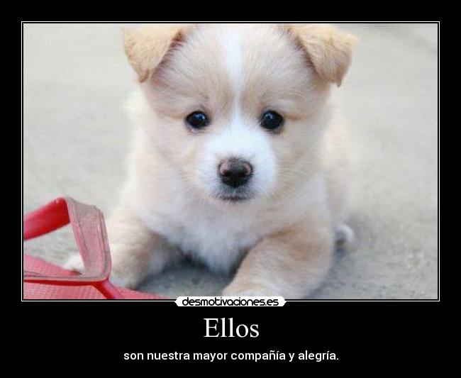 Ellos -