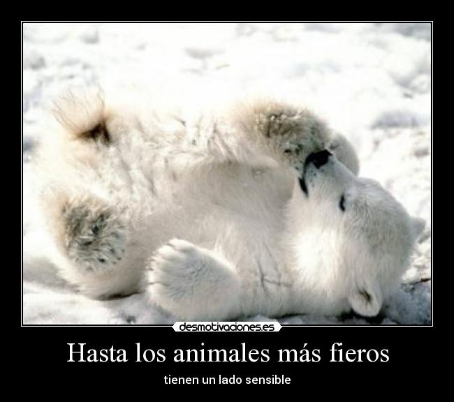 Hasta los animales más fieros -