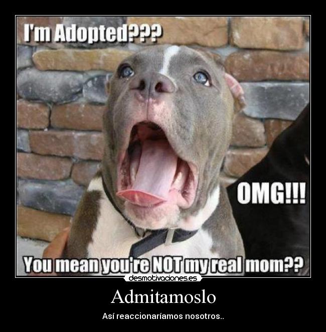 carteles francys zambrano desmotivaciones