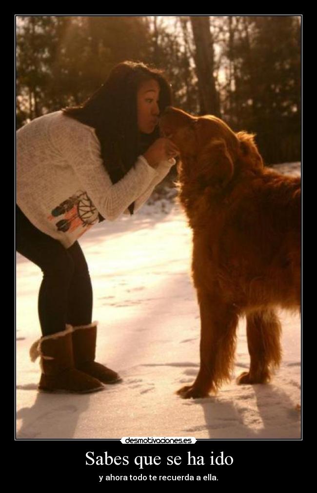 Sabes que se ha ido - y ahora todo te recuerda a ella.