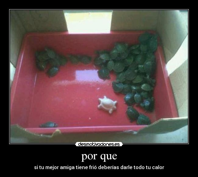 por que -