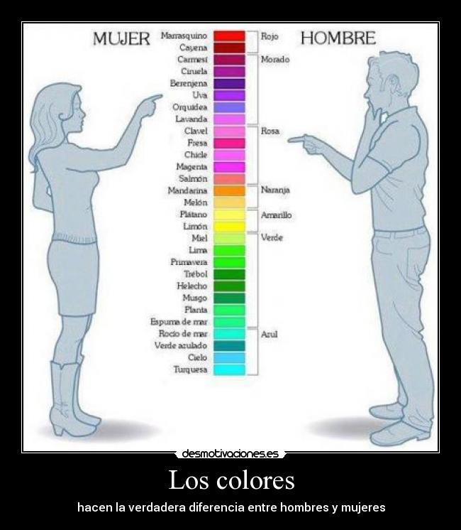 Los colores -