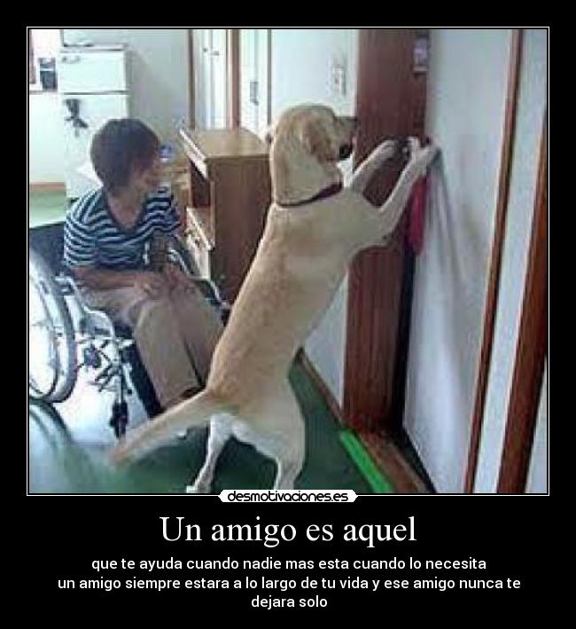 Un amigo es aquel - que te ayuda cuando nadie mas esta cuando lo necesita
un amigo siempre estara a lo largo de tu vida y ese amigo nunca te dejara solo