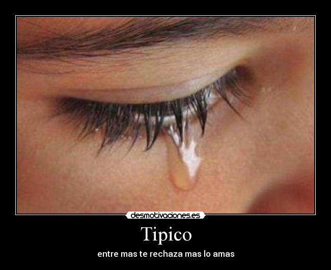 Tipico - 