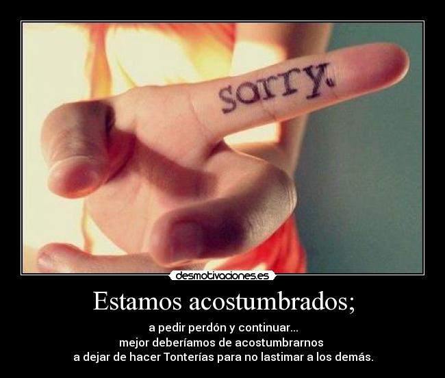 Estamos acostumbrados; -