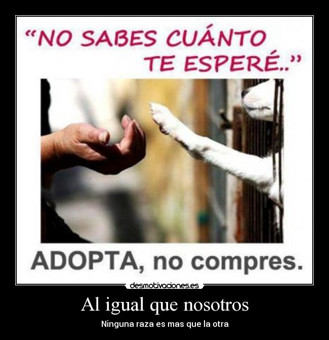 Al igual que nosotros - 