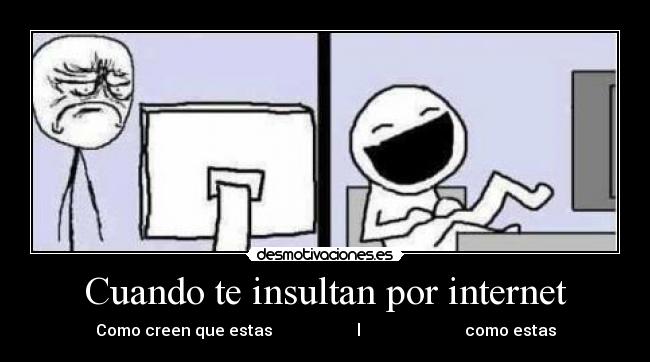 Cuando te insultan por internet - 