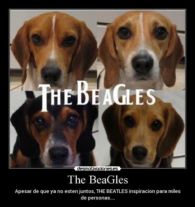 The BeaGles -