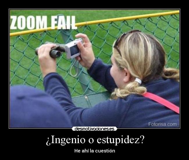 ¿Ingenio o estupidez? - 