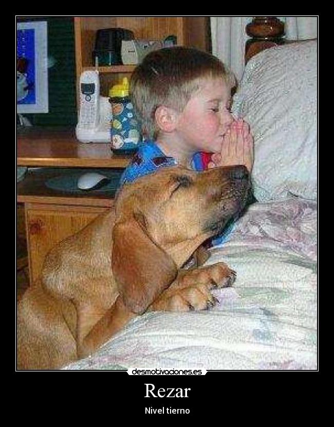 Rezar - Nivel tierno