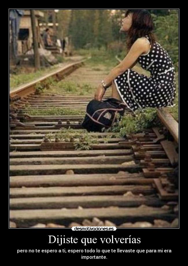 Dijiste que volverías - pero no te espero a ti, espero todo lo que te llevaste que para mi era importante.