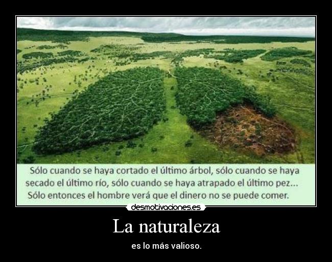 La naturaleza - 